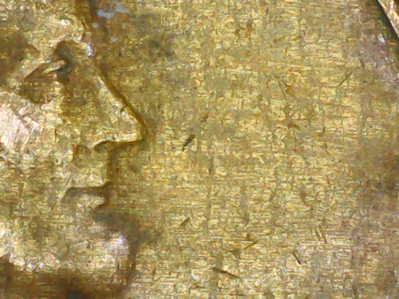 1942-Lincoln-Penny-W/Alligator's-Skin